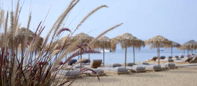 Skiathos Princess Beach Facilities